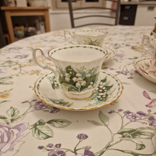 Royal albert flower the - royal,