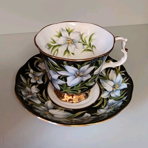 Royal albert provincial - royal,