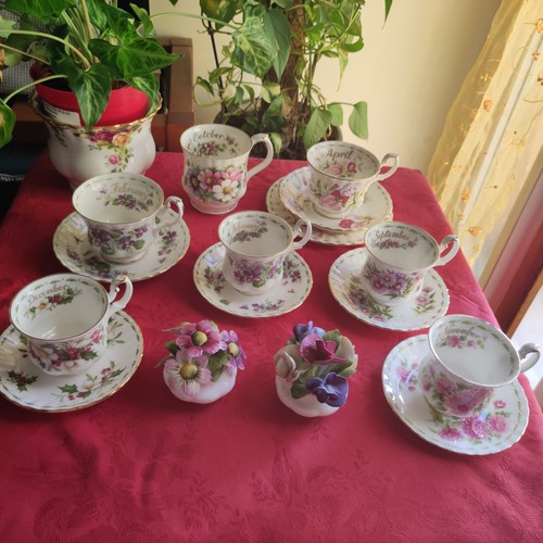 Royal albert flower - albert, the