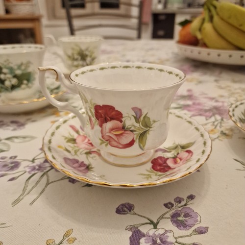 Tazze the royal albert - da,